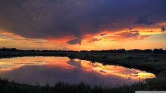 Wetland Path 4k HD Desktop Wallpaper For Ultra Tv Wide