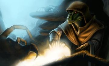 Argonian Elder Scrolls HD Wallpaper And Background