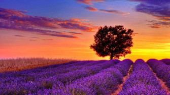 Full Screen HD Wallpaper