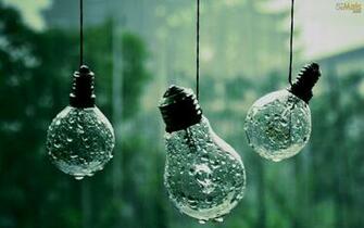 Wet Bulbs Wallpaper