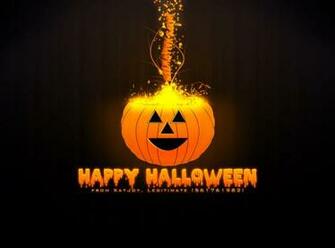 Halloween Cats Bats Wallpaper MixHD