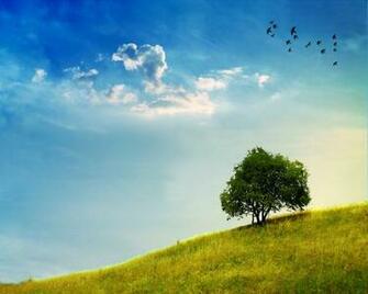 Landscape Wallpaper Metal Nature Fond D Cran Image Et
