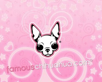 Famous Chihuahua Wallpaper