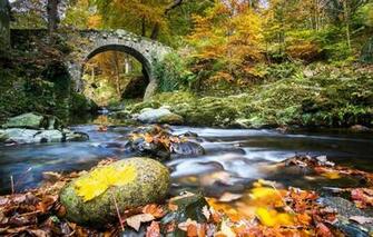 Wallpaper Autumn Forest Leaves Bridge River Northern Ireland