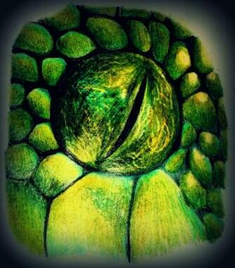 Snake Eyes Wallpaper Animal Eye By Derpicorgi