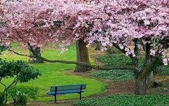 This Nature Desktop Wallpaper Your Official Countdown To Spring