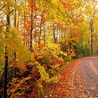 Fall Colors In Morristown New Jersey