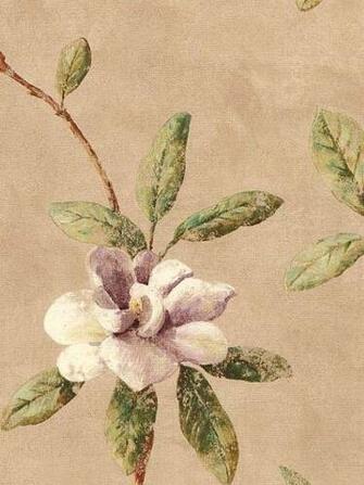 World Discount Wallcoverings Wallpaper Borders