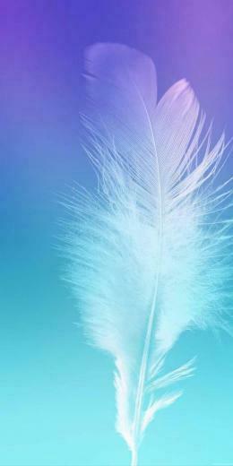 Ashley A On Feathers Samsung Galaxy Wallpaper Screen