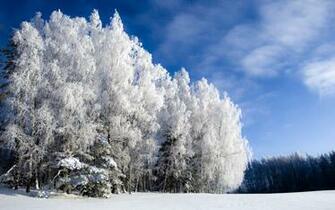 HD Wallpaper Winter Landscape X Kb Jpeg
