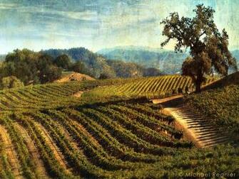 Vinography Archives Image Jpg