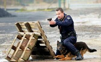 Police Dog Tries To Find The Only Safe Place He Can Courtesy Slate