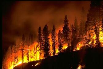 Wildland Fire Fighting Image Search Results