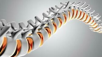 Carl Spivak Md Executive Spine Surgery Res Internal
