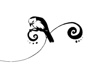 Black And White Bird By Natachar C