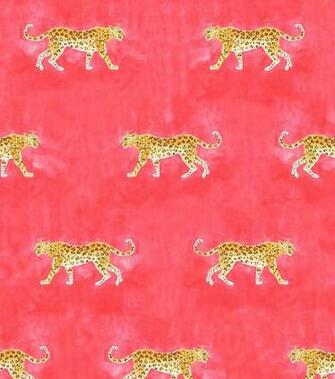 Caitlin Mcgauley Panthera Vermilion Im Obsessed Too