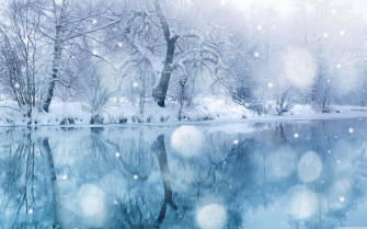 Winter Snowy Landscape Wallpaper