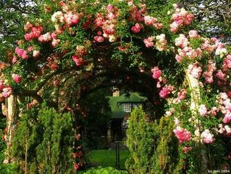 Rose Garden Wallpaper