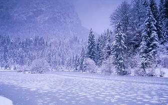 Winter Landscape Wallpaper Grasscloth