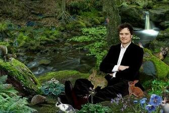 Colin Firth Wallpaper Photo