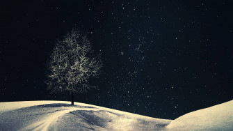 Winter Aesthetic Wallpaper