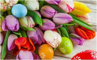 Easter Eggs And Tulip Flowers HD Wallpaper 9HD