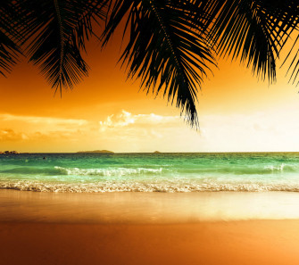 Tropical Desktop Wallpaper