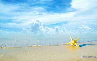 Photofurl Summer Wallpaper Of India Desktop