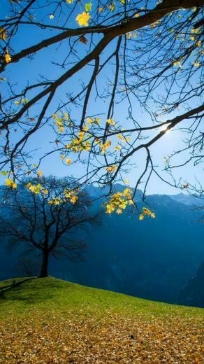 Autumn Schachental Switzerland iPhone Wallpaper HD And