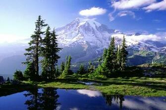 Mount Rainier National Park Wallpaper