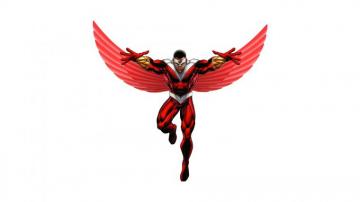 Falcon HD Wallpaper Background Image