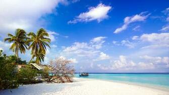 Description C T De La Plage Taille Actuelle