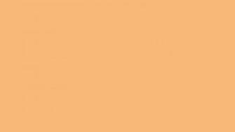 Mellow Apricot Solid Color Background