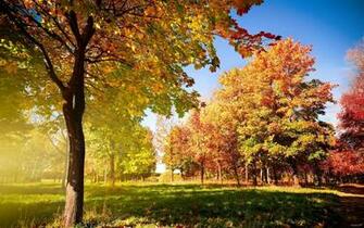 Color Early Fall HD Desktop Wallpaper