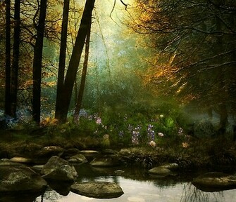 Forest Background Background Pictures