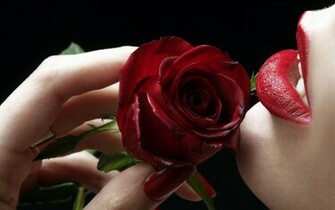 Red Rose Lips