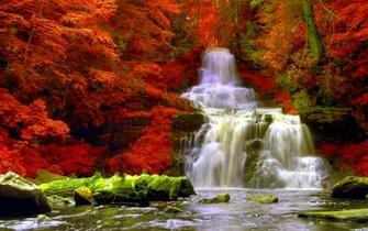 Autumn Forest Waterfalls High Quality And Resolution