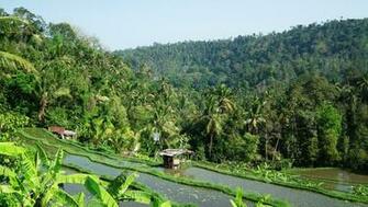 Bali Indonesia HD Wallpaper Full Screen iPad City