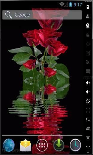Superb Red Roses Live Wallpaper App For Android