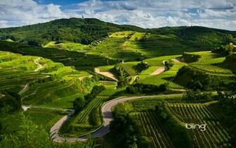 Bing Daily HD Wallpaper 3d