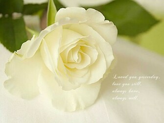 Wallpaper Love Quotes Desktop