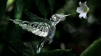 Flowers Steampunk Widescreen Hummingbird Wallpaper Background