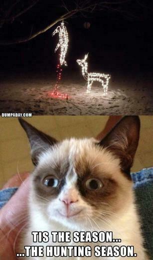 Grumpy Cat Christmas Funny Lights What Makes
