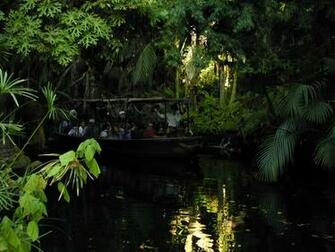 HD Wallpaper Jungle Set