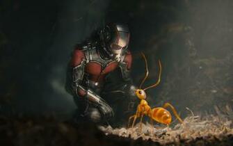 Wallpaper Ant Man