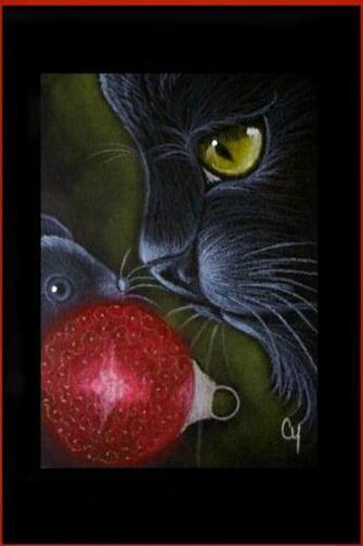 Beautiful Cat Drawings Wallpaper