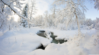 Alaska Winter HD Wallpaper