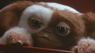 These Soft Cute Little Creatures Are All Fun And Games Until