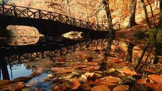 Bolu Yedigoller National Park Turkey Wallpaper