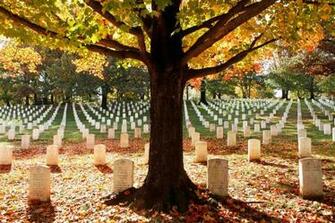 A Visitors Guide To Arlington Cemetery Honoring History